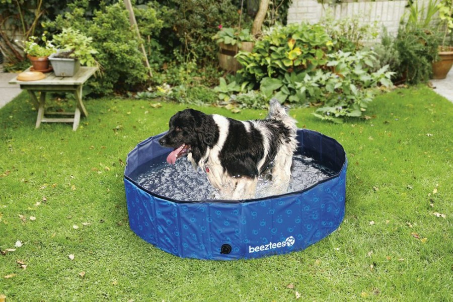 Hond BEEZTEES | Beeztees Hondenzwembad Doggy Dip S 80 Cm - Bestel Nu