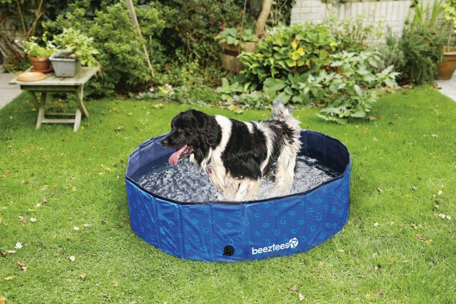 Hond BEEZTEES | Beeztees Hondenzwembad Doggy Dip M 120 Cm