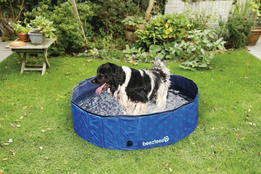 Hond BEEZTEES | Beeztees Hondenzwembad Doggy Dip L 160 Cm