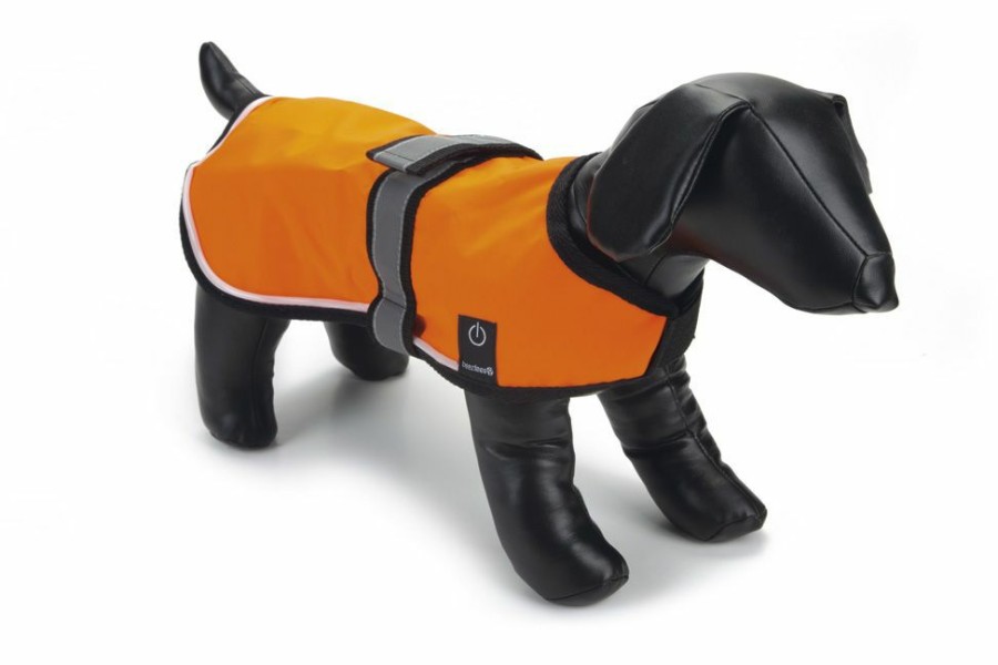 Hond BEEZTEES | Beeztees Veiligheidsvest Met Led Verlichting Xs - Bestel Nu