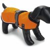 Hond BEEZTEES | Beeztees Veiligheidsvest Met Led Verlichting S - Bestel Nu