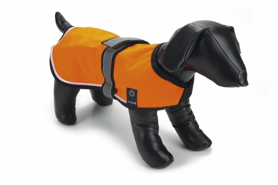 Hond BEEZTEES | Beeztees Veiligheidsvest Met Led Verlichting S - Bestel Nu