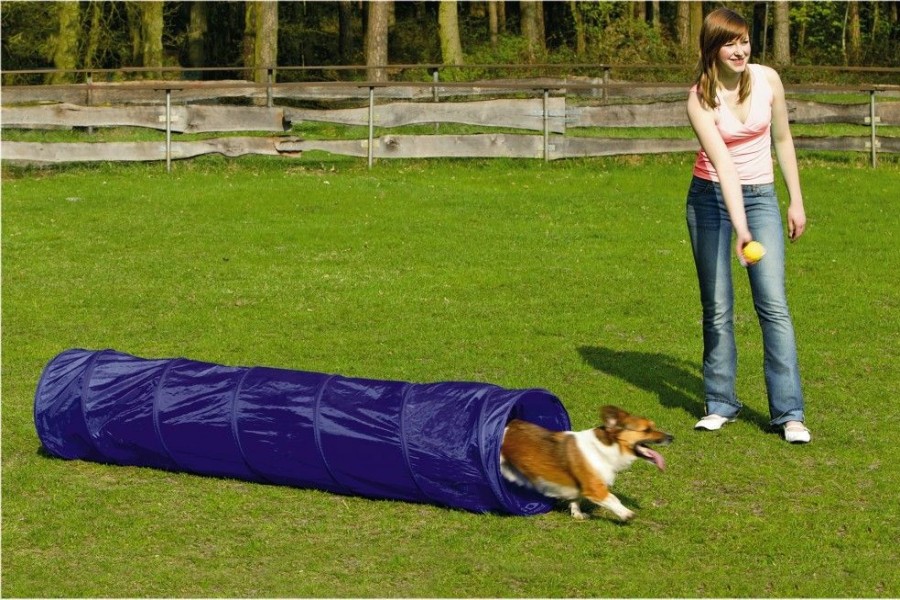 Hond BEEZTEES | Beeztees Agility Tunnel Small 198 Cm