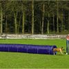 Hond BEEZTEES | Beeztees Agility Tunnel Large 525 Cm