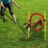 Hond BEEZTEES | Beeztees Agility Hoepel Set 60 Cm