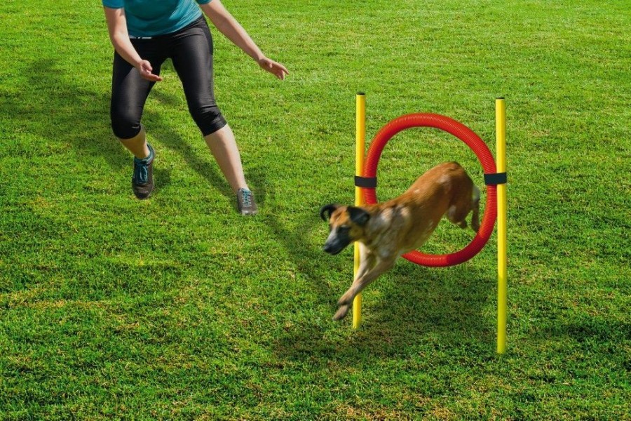 Hond BEEZTEES | Beeztees Agility Hoepel Set 60 Cm