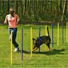 Hond BEEZTEES | Beeztees Agility Slalom Set 12 Stuks