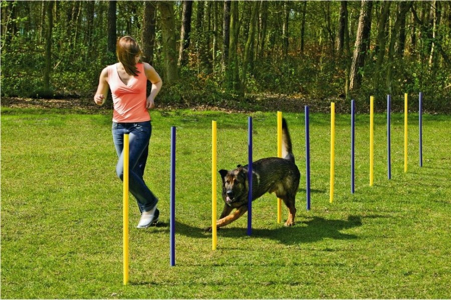 Hond BEEZTEES | Beeztees Agility Slalom Set 12 Stuks