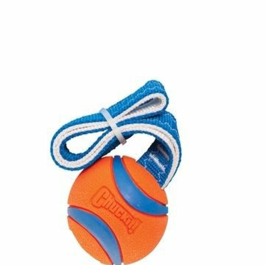 Hond CHUCKIT | Chuckit Ultra Tug Ball Small 5 Cm - Bestel Nu