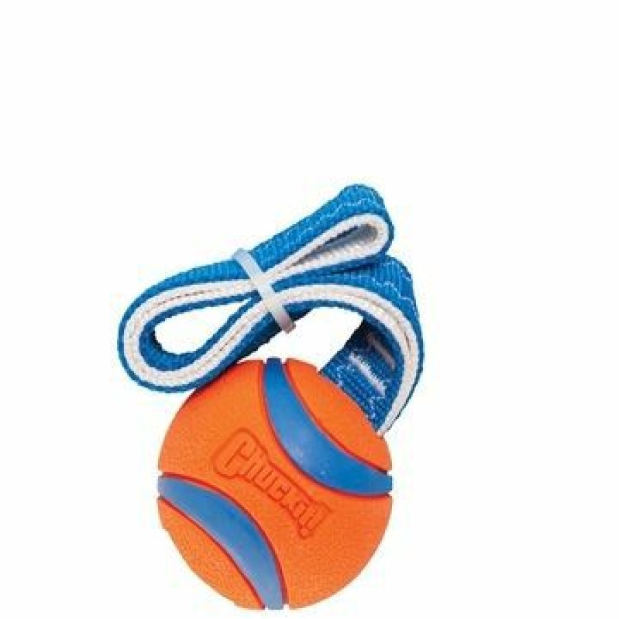 Hond CHUCKIT | Chuckit Ultra Tug Ball Medium 6 Cm - Bestel Nu