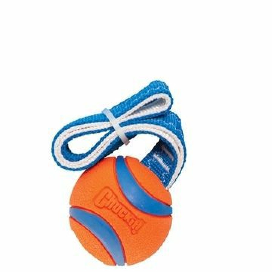 Hond CHUCKIT | Chuckit Ultra Tug Ball Large 7 Cm - Bestel Nu