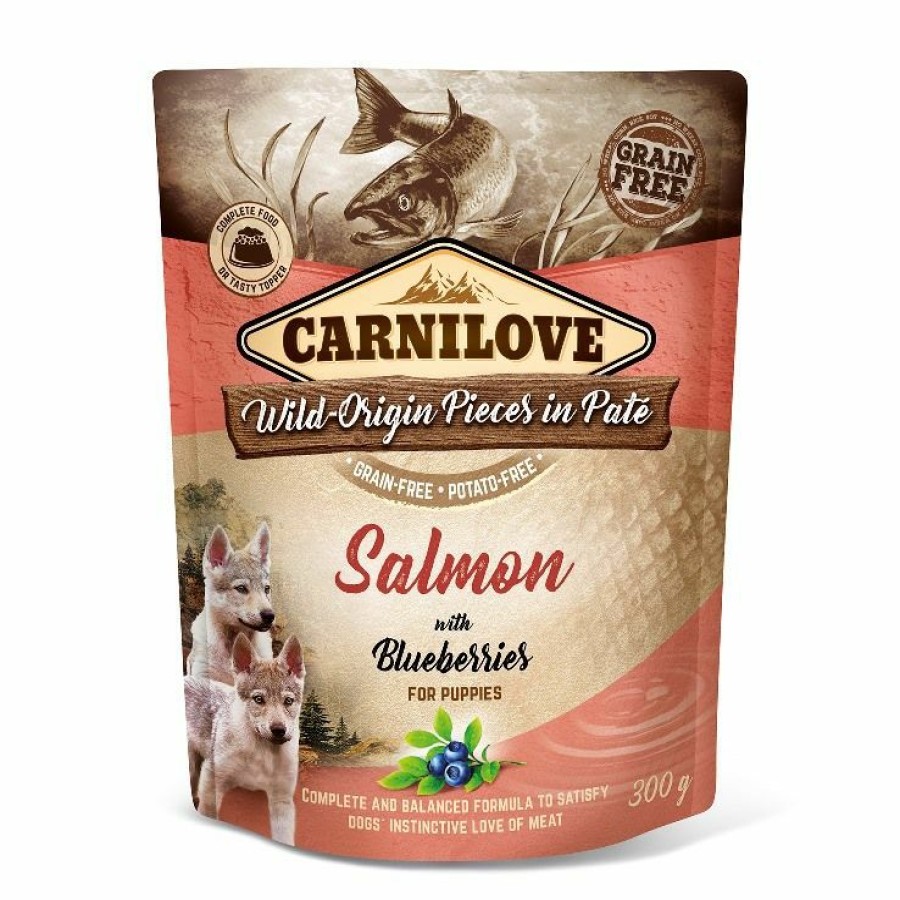 Hond CARNILOVE | Carnilove Dog Pouch Pate Salmon With Blueberries For Puppy'S 300 Gram - Bestel Nu