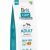 Hond BRIT | Brit Care Grain Free Adult Salmon& Potato 12 Kg