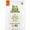 Hond BRIT | Brit Care Adult Small Breed Lamb& Rice 3 Kg - Bestel Nu