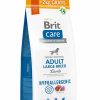 Hond BRIT | Brit Care Hypoallergenic Adult Large Breed Lamb& Rice 12 + 2 Kg Gratis