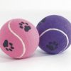 Hond BEEZTEES | Beeztees Tennisbal + Voetopdruk 10 Cm - Bestel Nu