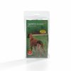 Hond BEEZTEES | Beeztees Periodiek Broekje Zwart Xs 16-23 Cm - Bestel Nu