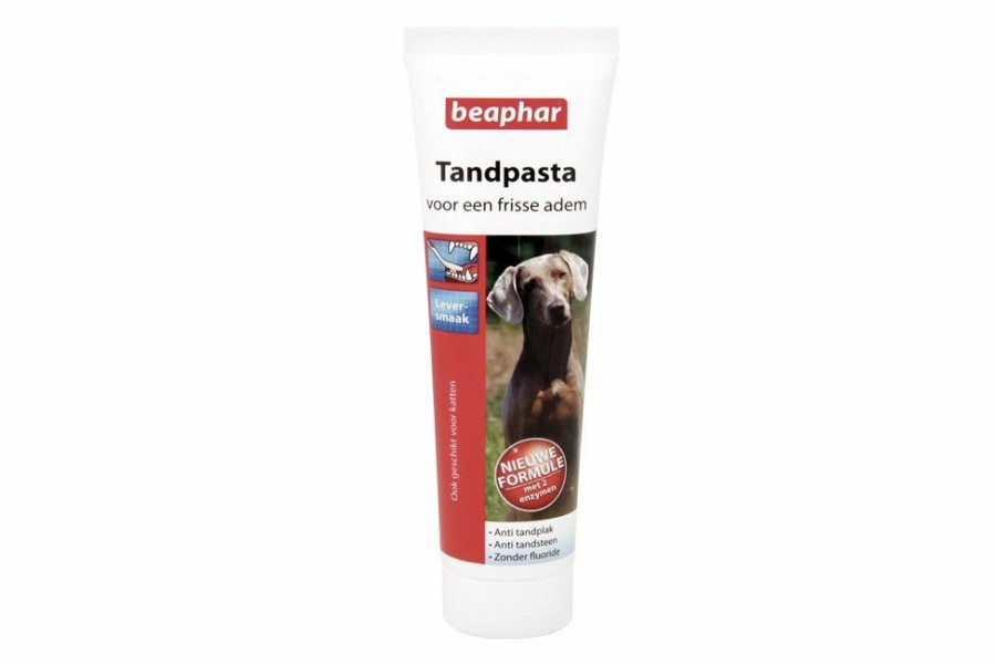 Hond BEAPHAR | Tandpasta 100 G - Bestel Nu