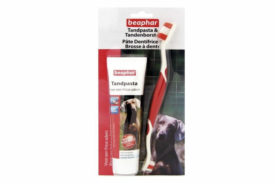 Hond BEAPHAR | Combipack Tandpasta En Borstel - Bestel Nu