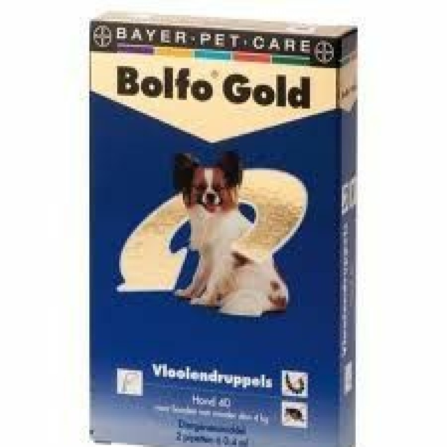 Hond BOLFO | Bolfo Gold Vlooienmiddel Hond 40 < 4 Kg 4 Pipetten