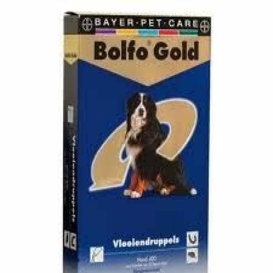 Hond BOLFO | Bolfo Gold Vlooienmiddel Hond 400 > 25 Kg 4 Pipetten