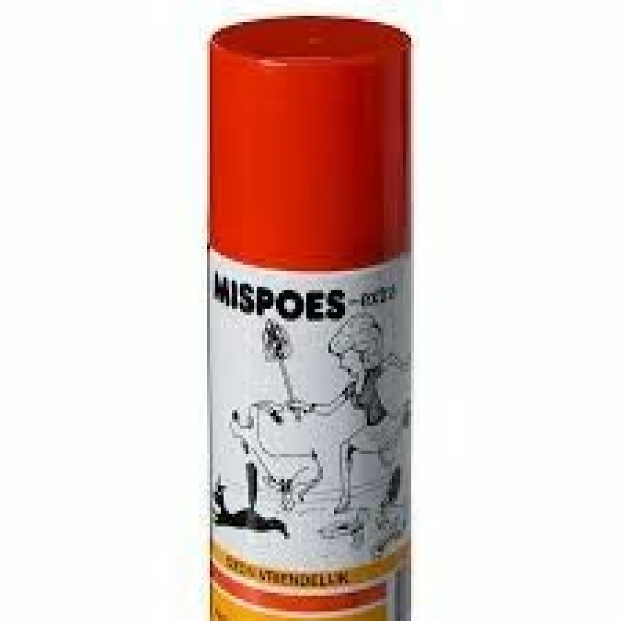 Hond MISPOES | Mispoes - Bestel Nu