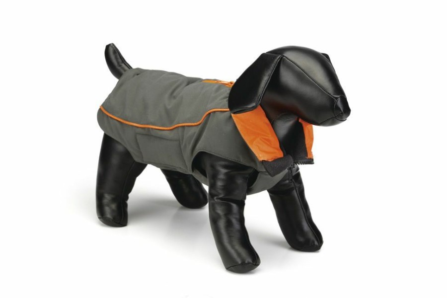 Hond DOG GONE SMART | Nano Hondenjasje Vail Grijs Oranje 45 Cm - Bestel Nu