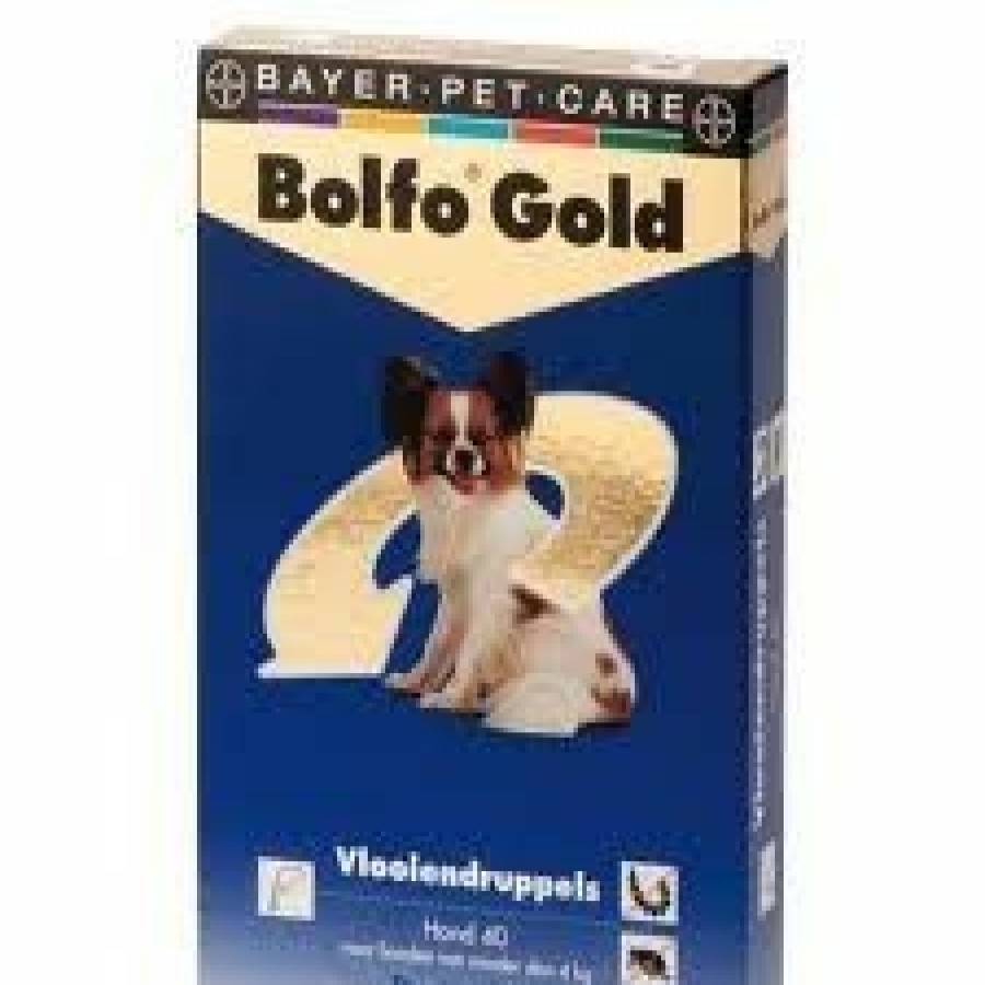 Hond BOLFO | Bolfo Gold Vlooienmiddel Hond 40 < 4 Kg 2 Pipetten