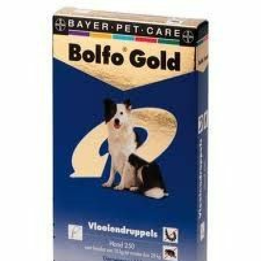 Hond BOLFO | Bolfo Gold Vlooienmiddel Hond 250 10 Tot 25 Kg 2 Pipetten